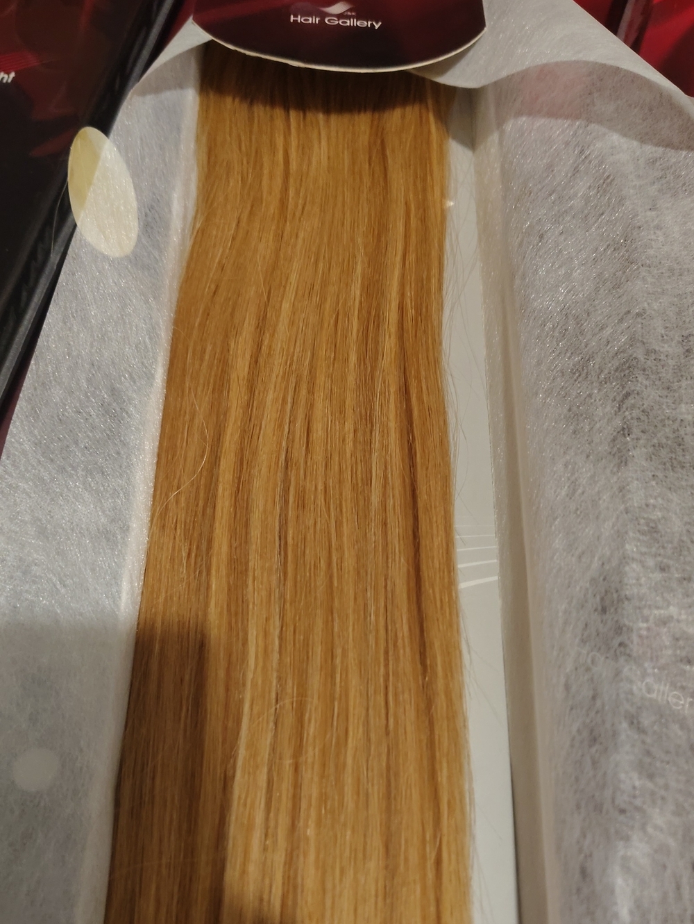 22" Length Human Hair Color F27/613 Brand Sandra Simpson